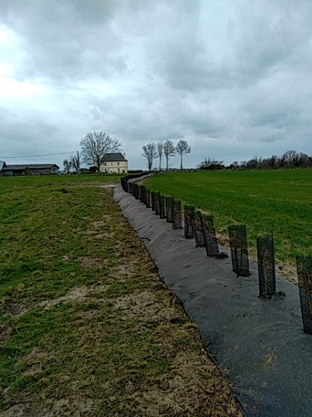 Entretien espace vert Pont-Audemer