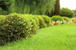Jardin paysager à Routot