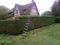 Jardinier à domicile à Routot